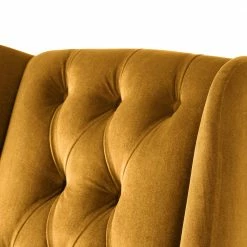 Maison Belfort Ohrensessel Luro Samt - Honig -Wohnzimmermöbel boutique en ligne 1000122215 190712 10052600049 DETAILS P000000001000122215