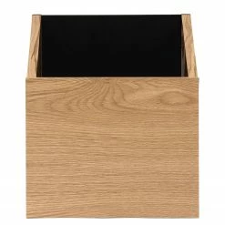 Temahome Regal One - Eiche / Schwarz 23 Temahome Regal One - Eiche / Schwarz -Wohnzimmermöbel boutique en ligne 1000172899 201016 13321400416 DETAILS P000000001000172899