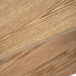 Temahome Regal One - Eiche / Schwarz 33 Temahome Regal One - Eiche / Schwarz -Wohnzimmermöbel boutique en ligne 1000172899 201016 13323800426 DETAILS P000000001000172899