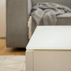 Fredriks Couchtisch Zenda - Weiß / Silber -Wohnzimmermöbel boutique en ligne 1000174642 200715 06265000029 DETAILS P000000001000174642