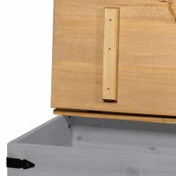 Maison Belfort Truhe Finca Rustica - Kiefer massiv - Kiefer Grau -Wohnzimmermöbel boutique en ligne 1000178039 200320 14544800023 DETAILS P000000001000178039