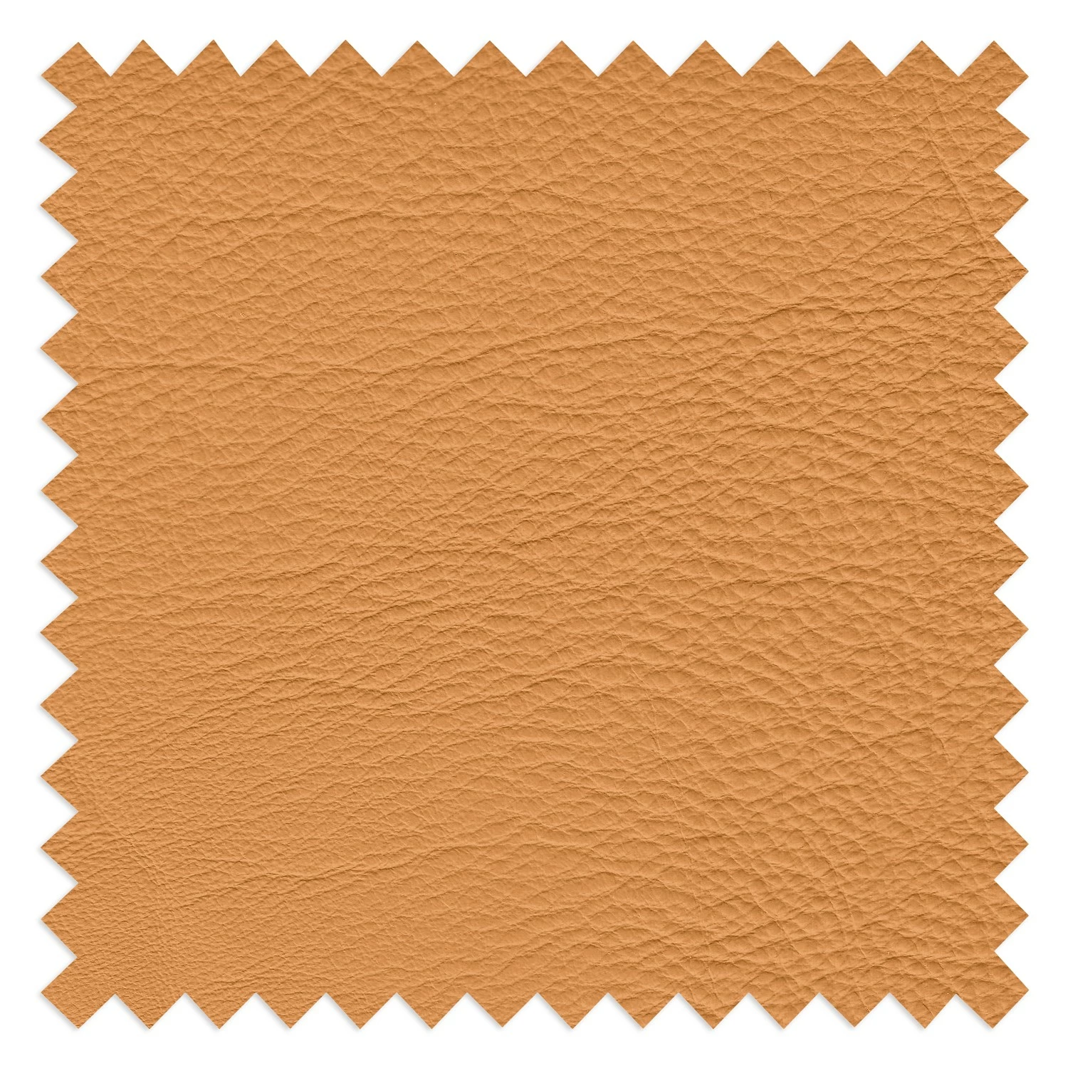 Fredriks Relaxsessel Raahe - Echtleder - Bisquit 26 Fredriks Relaxsessel Raahe - Echtleder - Bisquit – Bild 26