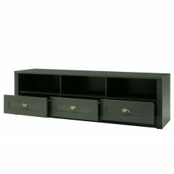 Ridgevalley TV-Lowboard Beauville II - Moosgrün / Gold -Wohnzimmermöbel boutique en ligne 1000196337 191127 09003900094 DETAILS P000000001000196337