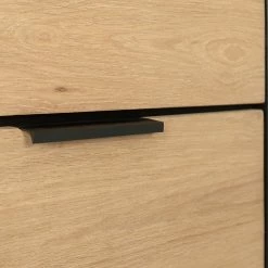 Studio Copenhagen Regal Xavi - Echtholzfurnier / Metall - Eiche / Eiche Schwarz 20 Studio Copenhagen Regal Xavi - Echtholzfurnier / Metall - Eiche / Eiche Schwarz -Wohnzimmermöbel boutique en ligne 1000218026 220107 12570000082 DETAILS P000000001000218026