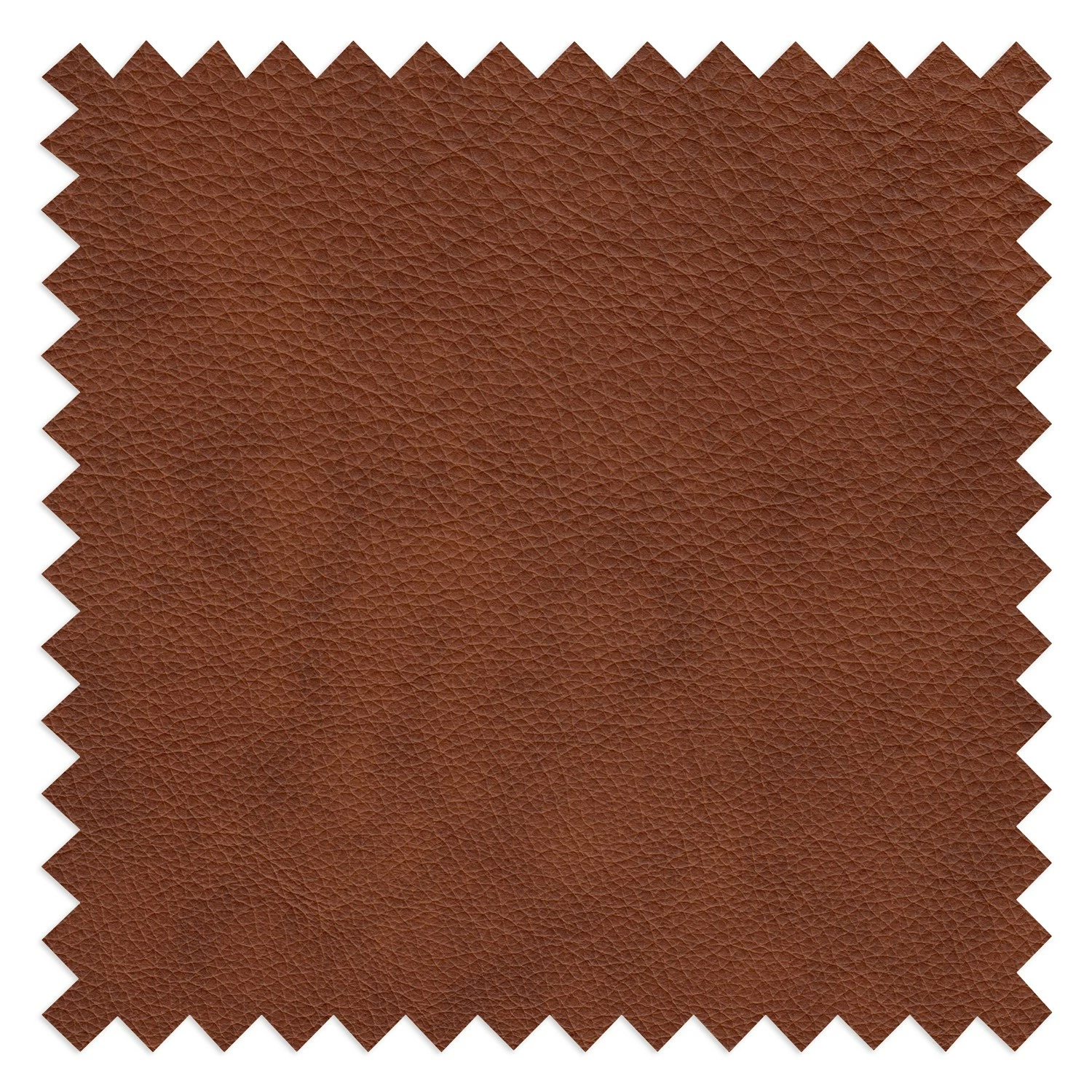 Ars manufacti Ecksofa Kalies - Echtleder - Echtleder Padme: Cognac - Longchair davorstehend links - Sitztiefenverstellung 13 Ars manufacti Ecksofa Kalies - Echtleder - Echtleder Padme: Cognac - Longchair davorstehend links - Sitztiefenverstellung – Bild 13