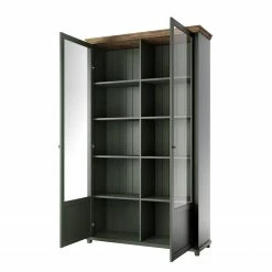 Ridgevalley Vitrinenschrank Emmanuela - Dunkelgrün -Wohnzimmermöbel boutique en ligne 1000339983 220317 030 DETAILS P000000001000339983