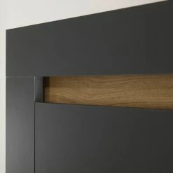 Loftscape Wohnwand Accra II (4-teilig) - Anthrazit / Eiche Dekor -Wohnzimmermöbel boutique en ligne 1000348832 220506 044 DETAILS P000000001000348832