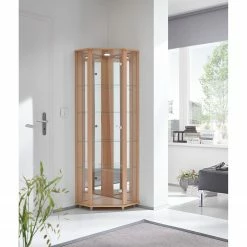 Fredriks Eckvitrine Amalia I - Inkl. Beleuchtung - Buche Dekor 10 Fredriks Eckvitrine Amalia I - Inkl. Beleuchtung - Buche Dekor -Wohnzimmermöbel boutique en ligne fif vitrinen led 18 05 2017 4922060