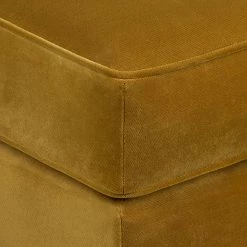 Jack & Alice Recamiere Blomma - Samtstoff SenfGelb - Armlehne davorstehend links -Wohnzimmermöbel boutique en ligne recamiere blomma samtstoff senfgelb armlehne davorstehend links 354726