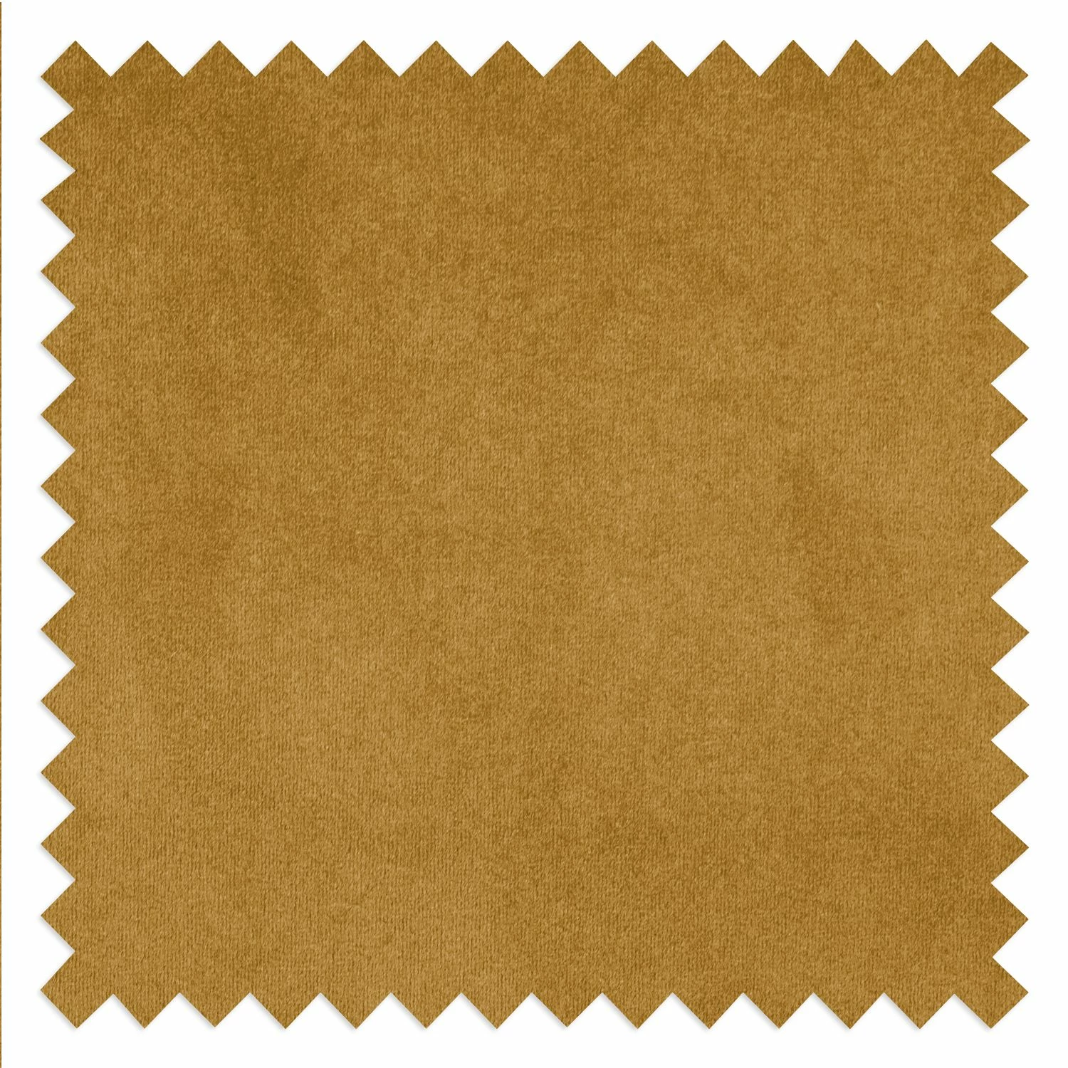 Eva Padberg Collection Polstergarnitur Edina Samt (3-2-1) - Honig 13 Eva Padberg Collection Polstergarnitur Edina Samt (3-2-1) - Honig – Bild 13