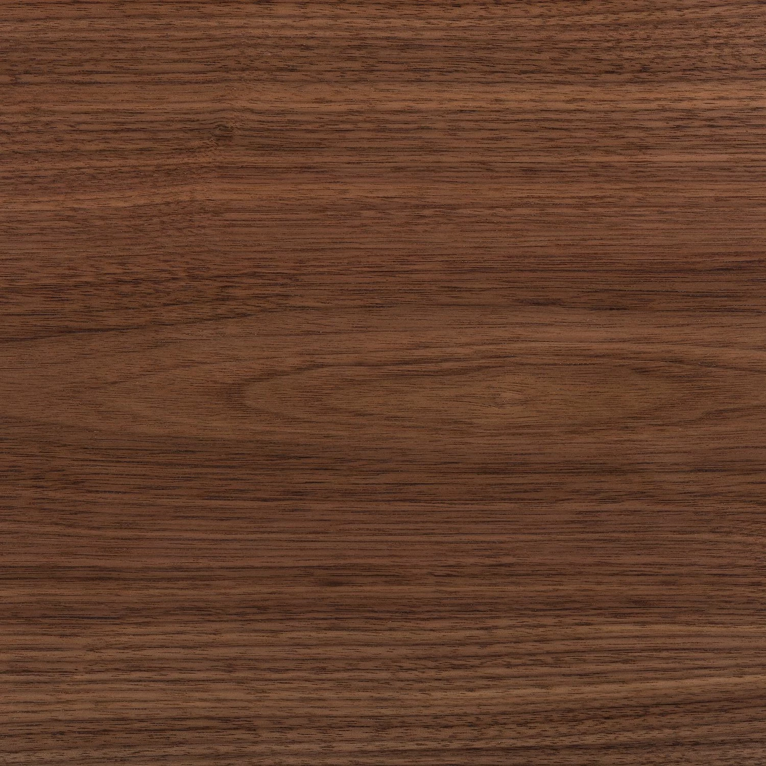 Eva Padberg Collection Sideboard Payara - Echtholzfurnier - Walnuss / Anthrazit 17 Eva Padberg Collection Sideboard Payara - Echtholzfurnier - Walnuss / Anthrazit – Bild 17