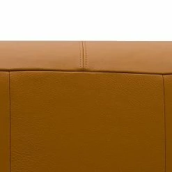 Studio Copenhagen 2-Sitzer Sofa HUDSON - Echtleder Neka: Cognac -Wohnzimmermöbel boutique en ligne sofa hudson 2 sitzer echtleder cognac 3852796